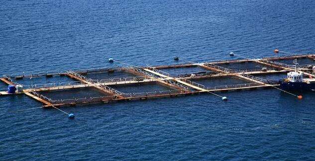 aquaculture1